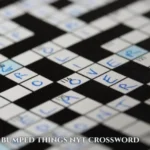 bumped things nyt crossword